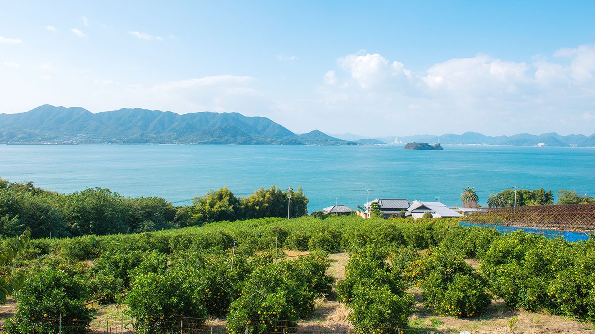 “島から望む瀬戸内海”