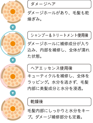 ダメージ補修イメージ