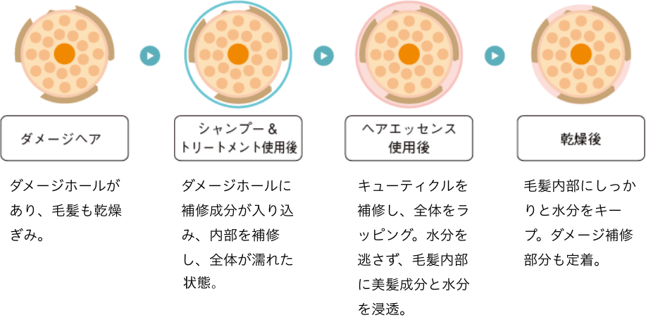 ダメージ補修イメージ