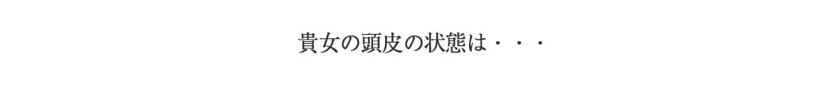 貴女の頭皮の状態は