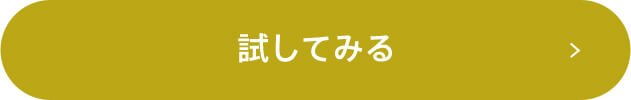 試してみる