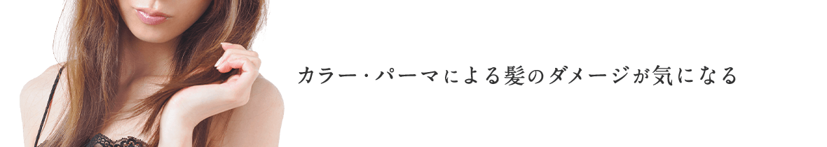 こんな方から愛されています