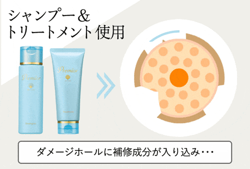 シャンプー&トリートメント使用後