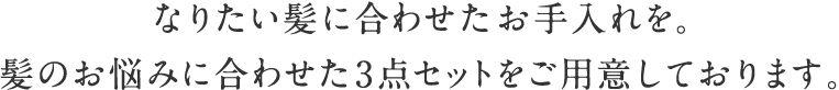 なりたい髪に合わせたお⼿⼊れを。髪のお悩みに合わせた3点セットをご⽤意しております。