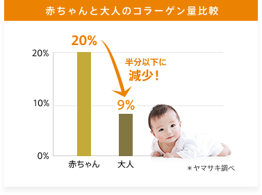 赤ちゃんと大人のコラーゲン量比較 20%→9% 半分以下に減少！※ヤマサキ調べ