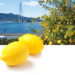 全国一のレモン生産県広島の瀬戸田町産レモン果汁配合