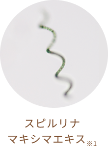 スピルリナ マキシマエキス※1