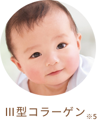 Ⅲ型コラーゲン※5