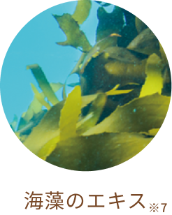 海藻のエキス※7