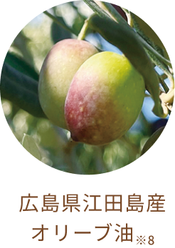 広島県江田島産 オリーブ油※8