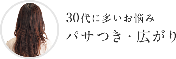 30代に多いお悩み 「パサつき・広がり」が 気になる