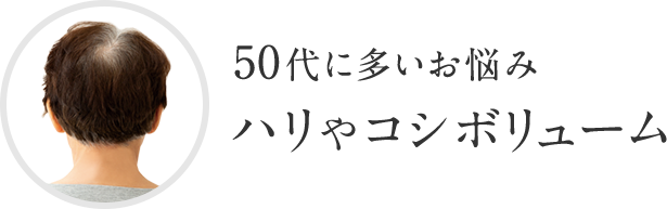 50代に多いお悩み ハリやコシ ボリューム