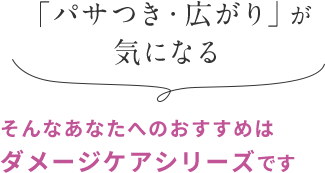 「パサつき・広がり」が 気になる そんなあなたへのおすすめは ダメージケアシリーズです