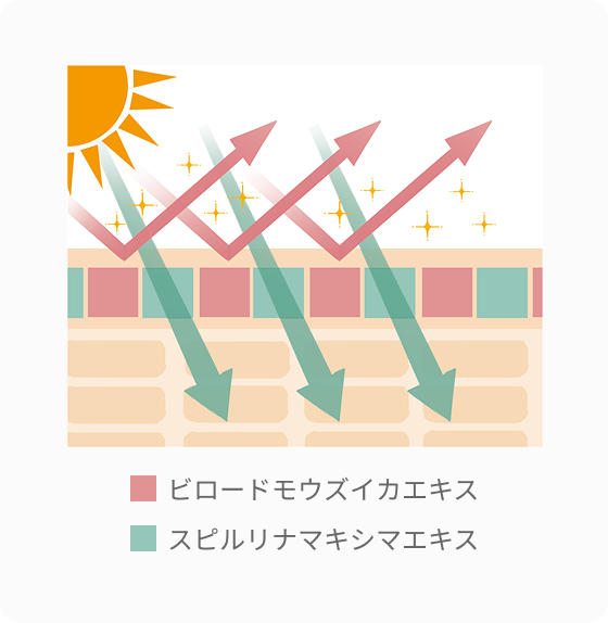 未塗布  旧商品  海藻 BB スキンクリーム  ＊ ヤマサキ調べ