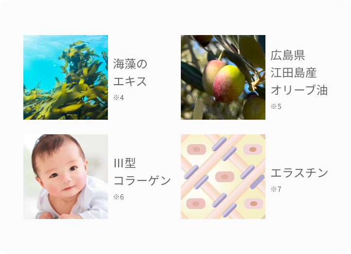 海藻のエキス ※4 広島県江田島産オリーブ油 ※5 Ⅲ型コラーゲン ※6 エラスチン ※7