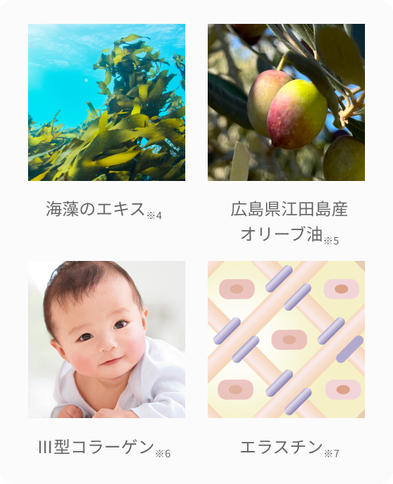 海藻のエキス ※4  広島県江田島産オリーブ油 ※5  Ⅲ型コラーゲン ※6  エラスチン ※7