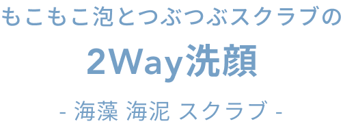 もこもこ泡とつぶつぶスクラブの2Way洗顔  - 海藻 海泥 スクラブ -