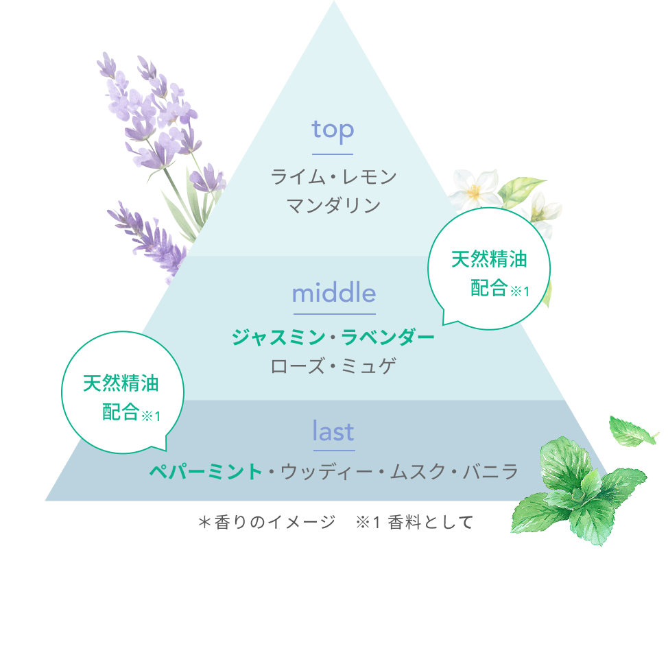 top  ライム・レモン  マンダリン  middle  ジャスミン・ラベンダー  ローズ・ミュゲ  天然精油配合※1  last  ペパーミント・ウッディー・ムスク・バニラ  天然精油配合※1  ＊香りのイメージ　※1 香料として