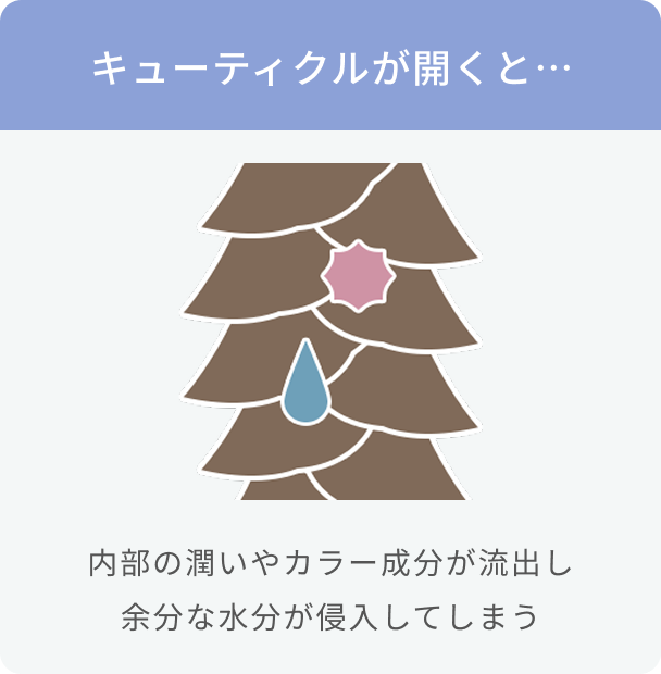 キューティクルが開くと…  内部の潤いやカラー成分が流出し余分な水分が侵入してしまう