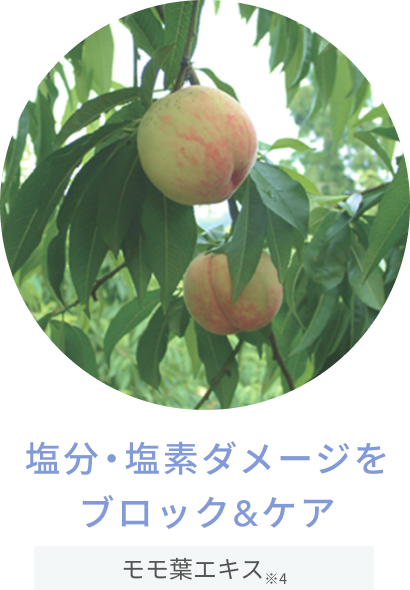 塩分・塩素ダメージをブロック&ケア  モモ葉エキス※4