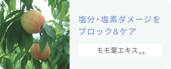 塩分・塩素ダメージをブロック&ケア  モモ葉エキス※4