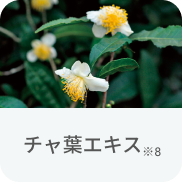 チャ葉エキス※8