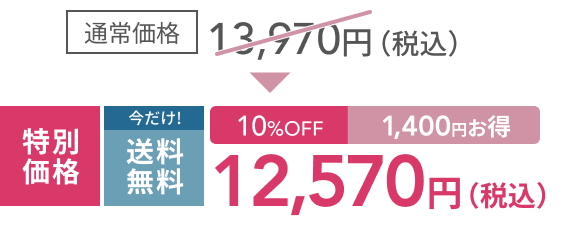 通常価格13,970円（税込）  特別価格  今だけ!10%OFF  1,400円お得  送料無料  12,570円（税込）