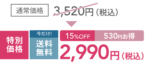 通常価格 3,520円（税込）  530円お得 15%OFF  今だけ特別 送料無料  特別価格 2,990円（税込）
                      
