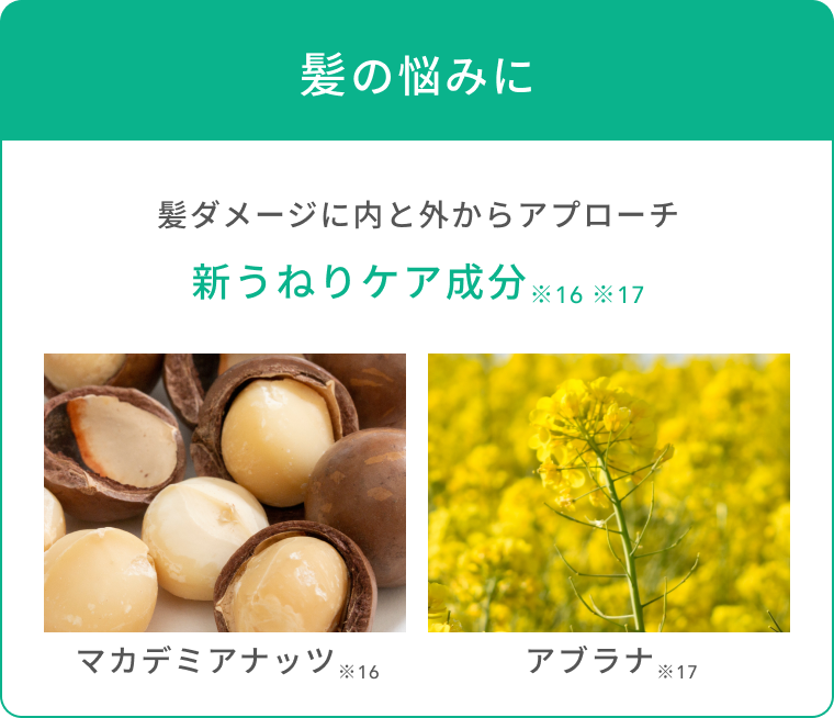 髪の悩みに髪ダメージに内と外からアプローチ  新うねりケア成分  ※16 ※17  マカデミアナッツ※16  アブラナ※17