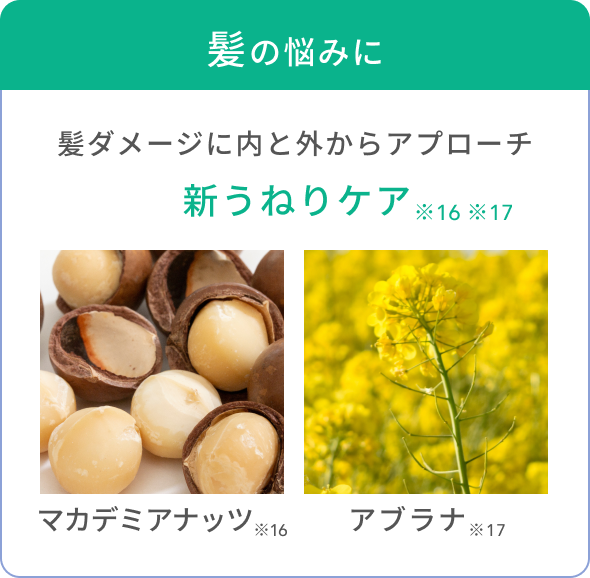 髪の悩みに髪ダメージに内と外からアプローチ 新うねりケア成分 ※16 ※17 マカデミアナッツ※16 アブラナ※17