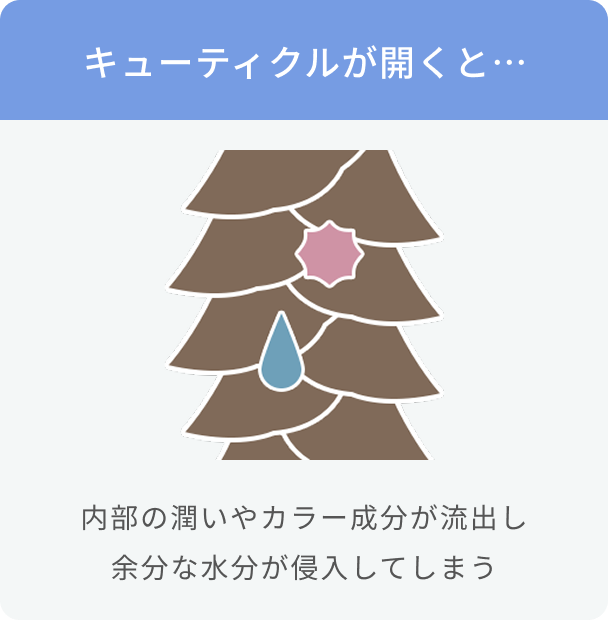 キューティクルが開くと…  内部の潤いやカラー成分が流出し余分な水分が侵入してしまう