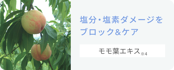 塩分・塩素ダメージをブロック&ケア  モモ葉エキス※4