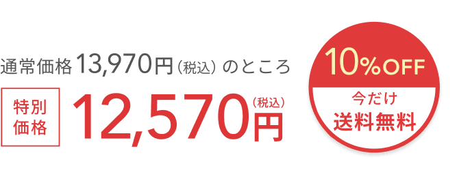 通常価格 13,640円(税込)のところ特別価格12,270円(税込) 10%OFF + 今だけ送料無料
