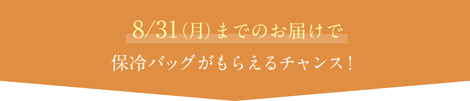8/31(月)までのお届けで保冷バッグがもらえるチャンス!