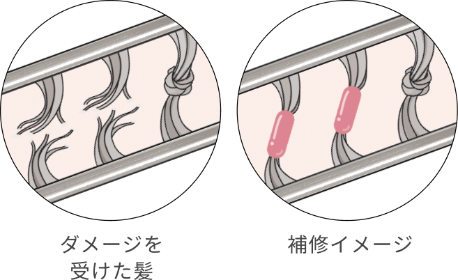 ダメージを受けた髪  補修イメージ