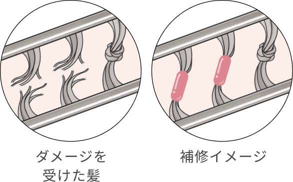 ダメージを受けた髪 補修イメージ