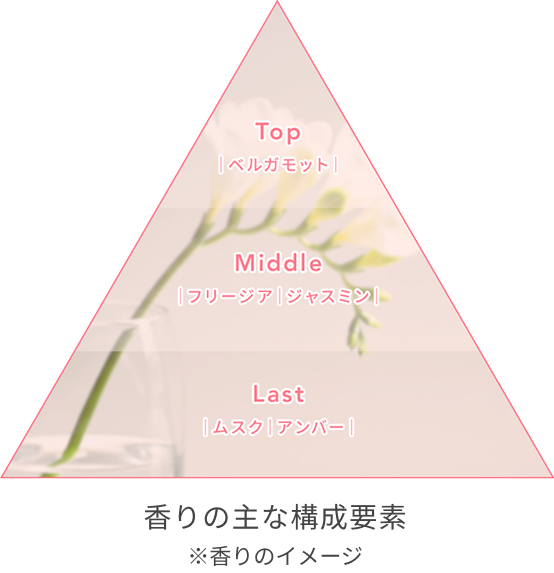 Top ベルガモット Middle フリージア ジャスミン Last ムスク アンバー 香りの主な構成要素 ※香りのイメージ