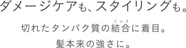ダメージケアも、スタイリングも。 切れたタンパク質の結合に着目。髪本来の強さに。