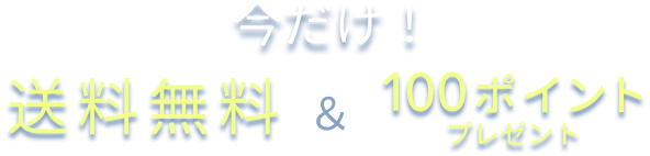 今だけ!送料無料&100ポイントプレゼント!