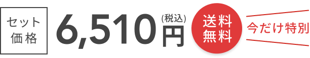 セット価格  6,510円(税込)  送料無料  今だけ特別