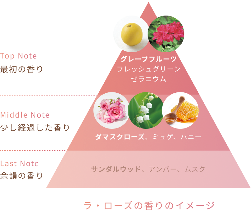 Top Note 最初の香り グレープフルーツ フレッシュグリーン ゼラニウム Middle Note 少し経過した香り ダマスクローズ、ミュゲ、ハニー Last Note 余韻の香り サンダルウッド、アンバー、ムスク ラ・ローズの香りのイメージ