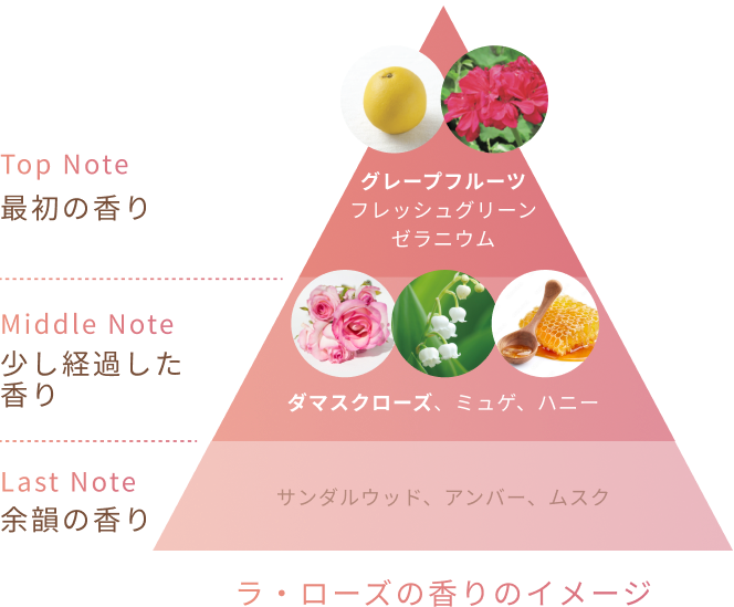 Top Note 最初の香り グレープフルーツ フレッシュグリーン ゼラニウム Middle Note 少し経過した香り ダマスクローズ、ミュゲ、ハニー Last Note 余韻の香り サンダルウッド、アンバー、ムスク ラ・ローズの香りのイメージ