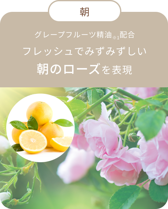 朝 グレープフルーツ精油※1配合 フレッシュでみずみずしい朝のローズを表現
