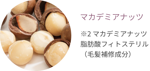 マカデミアナッツ ※2 マカデミアナッツ脂肪酸フィトステリル(毛髪補修成分)