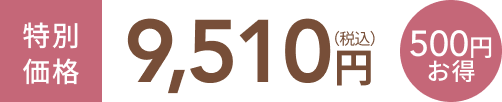 特別価格9,510円(税込) 500円お得 送料無料