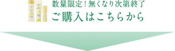 数量限定！無くなり次第終了 ご購入はこちらから