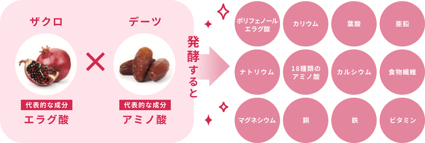 ザクロ 代表的な成分 エラグ酸 × デーツ 代表的な成分 アミノ酸 発酵すると ポリフェノール エラグ酸 カリウム 葉酸 亜鉛 ナトリウム 18種類の アミノ酸 カルシウム 食物繊維 マグネシウム 銅 鉄 ビタミン
