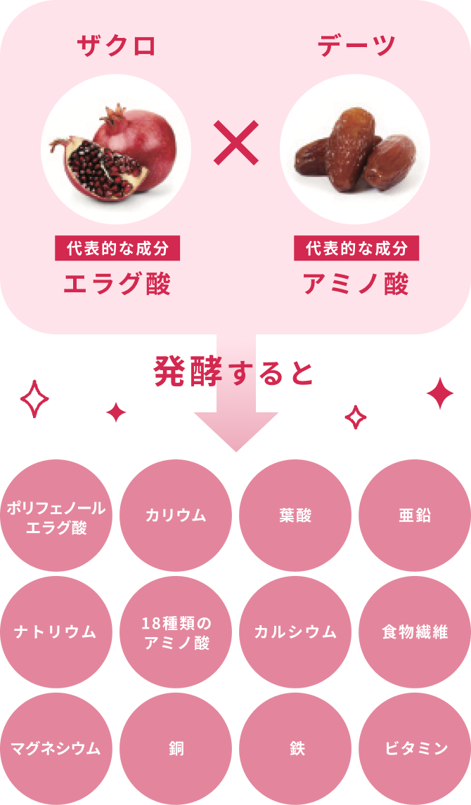 ザクロ 代表的な成分 エラグ酸 × デーツ 代表的な成分 アミノ酸  発酵すると  ポリフェノール エラグ酸  カリウム  葉酸  亜鉛  ナトリウム  18種類の  アミノ酸  カルシウム  食物繊維  マグネシウム  銅  鉄  ビタミン