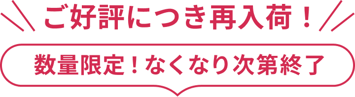 数量限定!なくなり次第終了