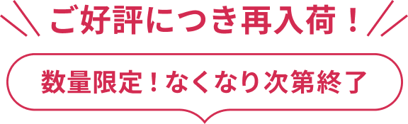 数量限定！なくなり次第終了
